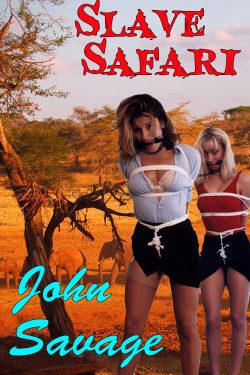 Slave Safari